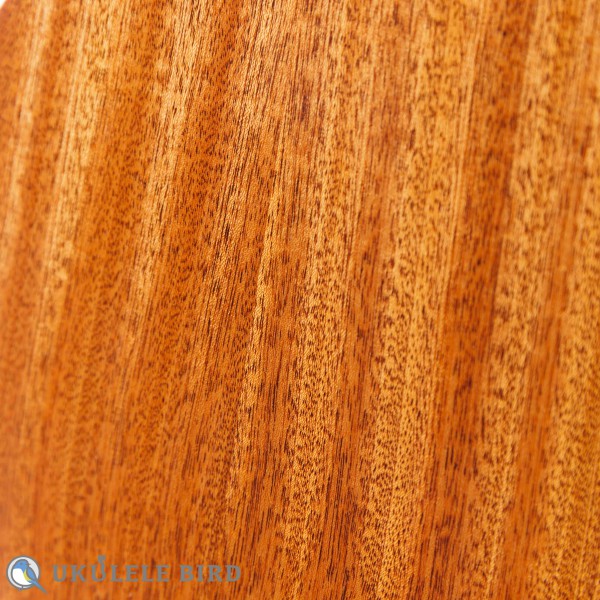 Moodyville Tenor Sapelli Mahogany