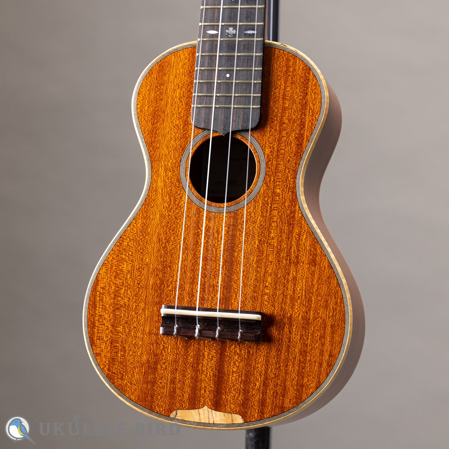 Ancestor's Ukulele ST345ST Type1 2024