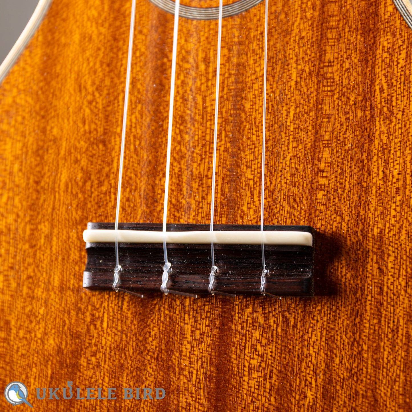 Ancestor's Ukulele ST345ST Type1 2024