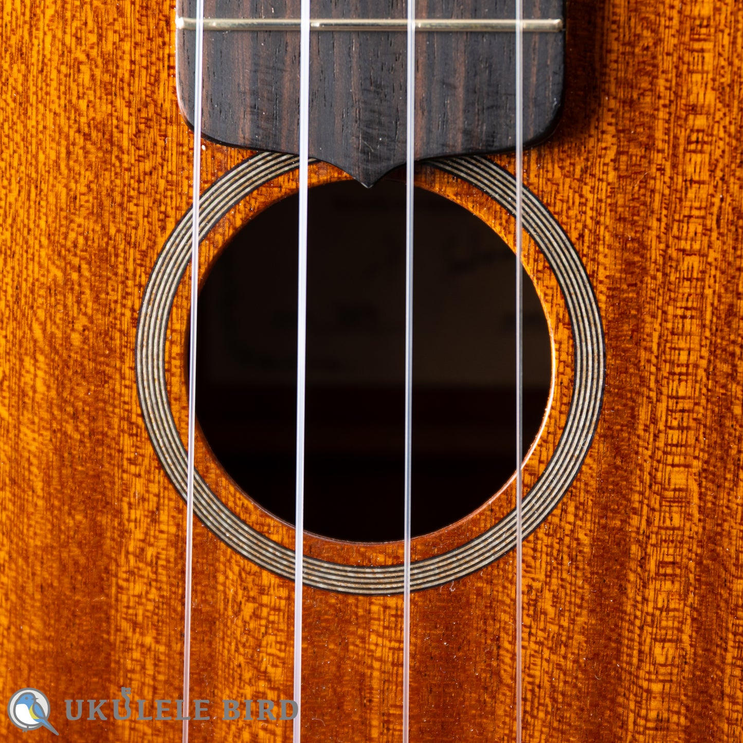 Ancestor's Ukulele ST345ST Type1 2024