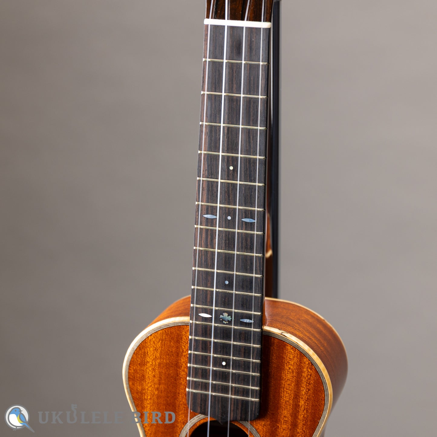 Ancestor's Ukulele ST345ST Type1 2024