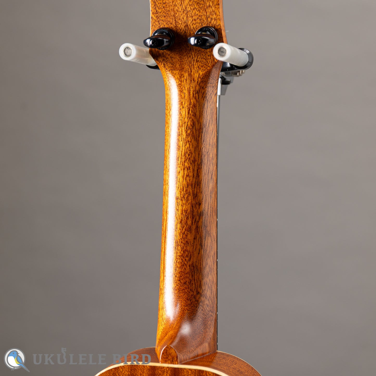 Ancestor's Ukulele ST345ST Type1 2024