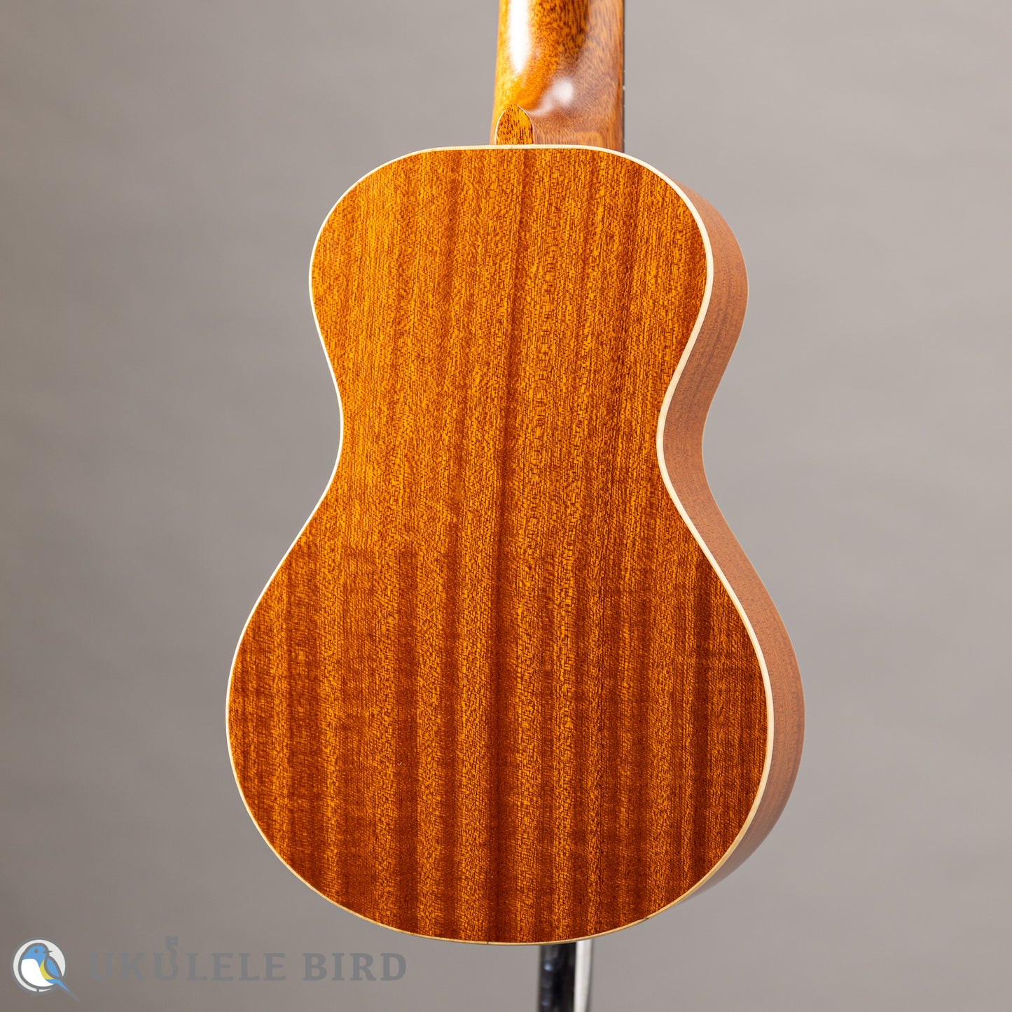 Ancestor's Ukulele ST345ST Type1 2024