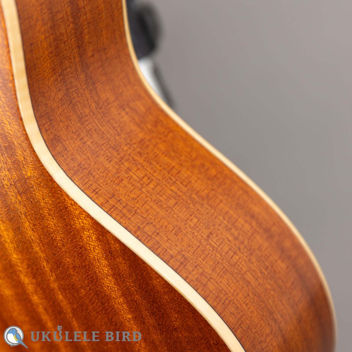 Ancestor's Ukulele ST345ST Type1 2024