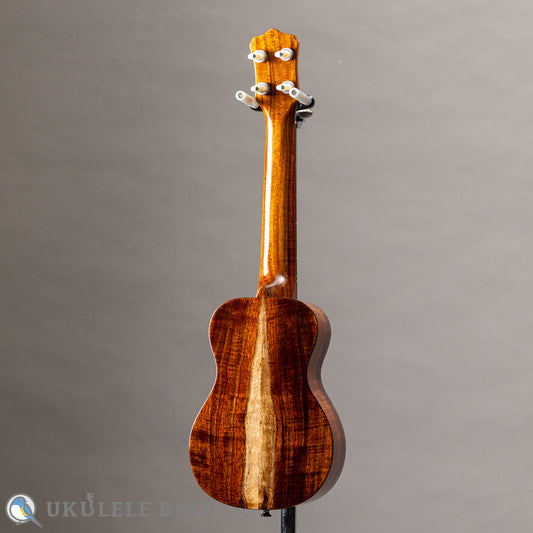 Antar Soprano Longneck Sycamore/Hawaiian Koa 2024