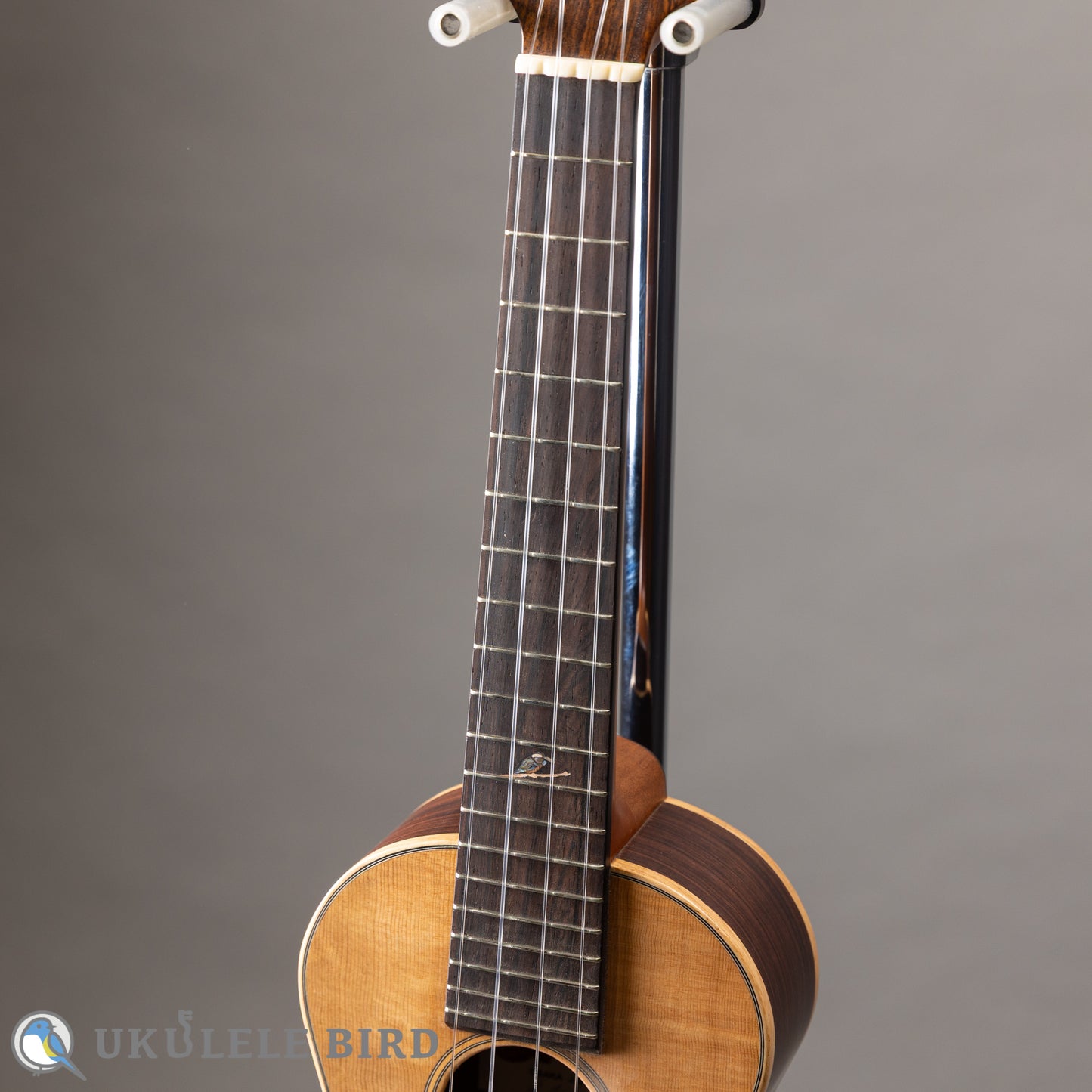 Arimitsu Guitar Craft Concert Halcyon UB5