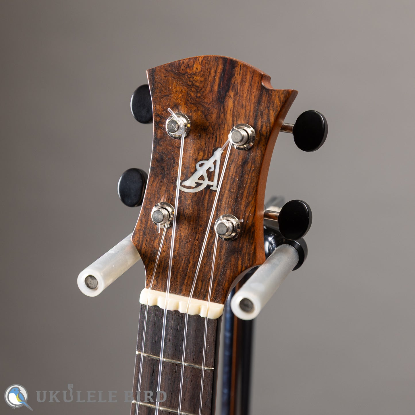 Arimitsu Guitar Craft Concert Halcyon UB5