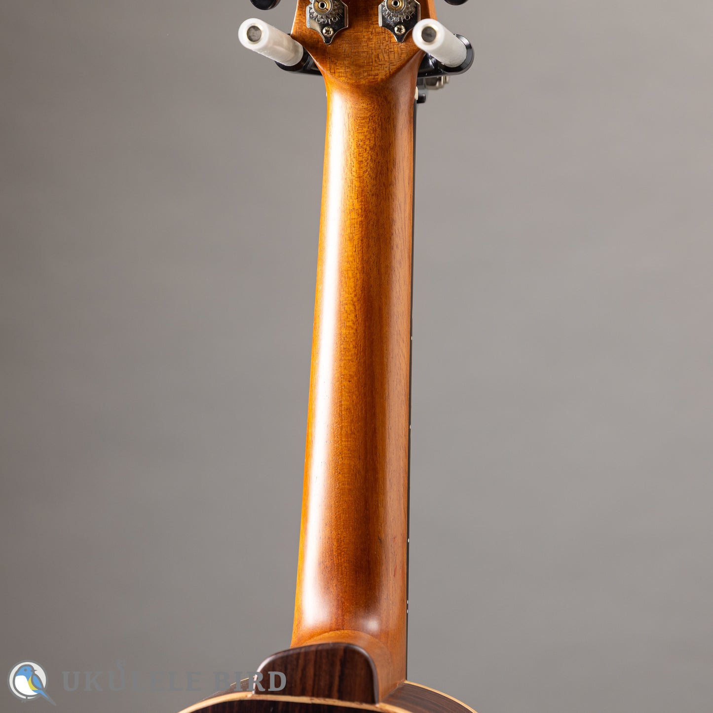 Arimitsu Guitar Craft Concert Halcyon UB5