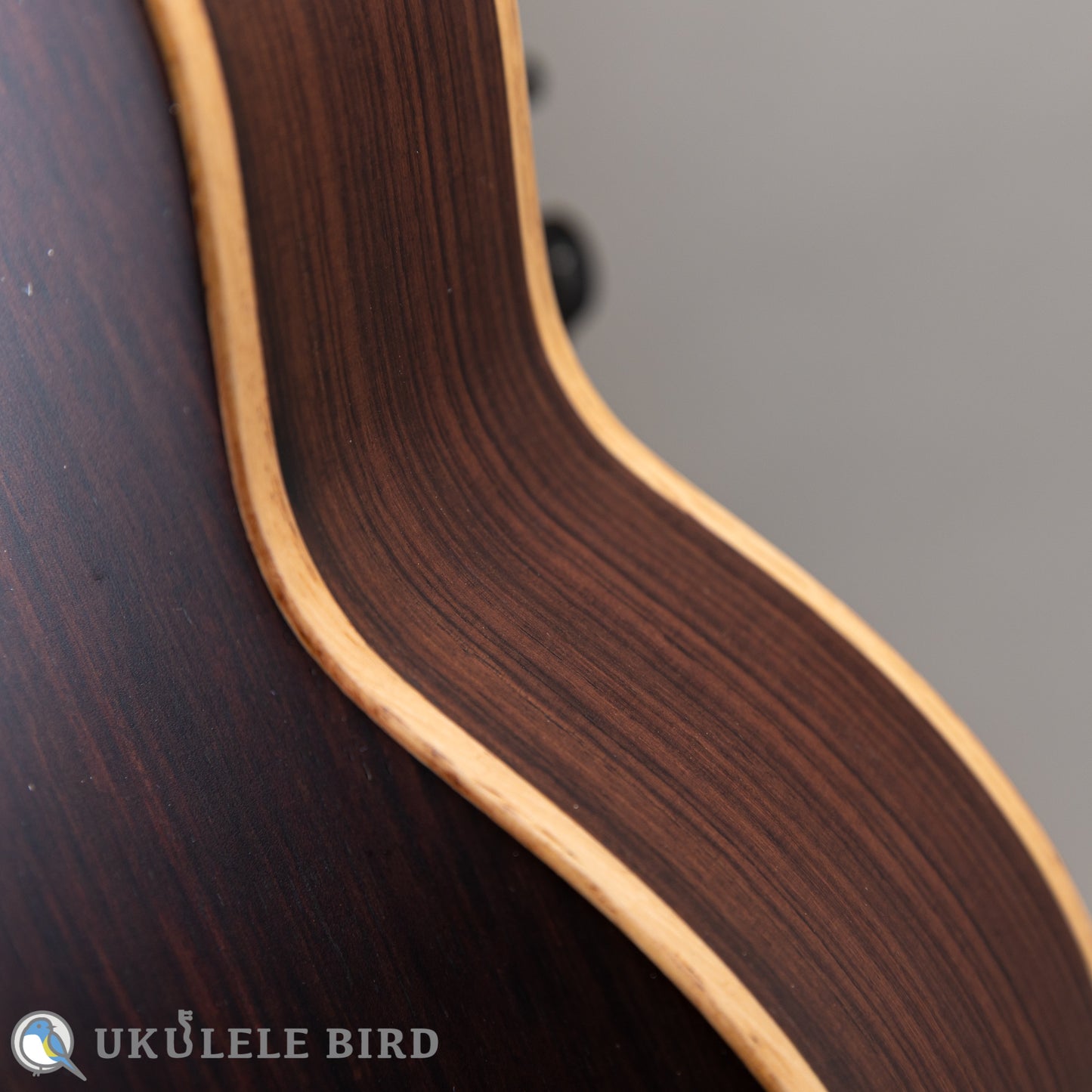 Arimitsu Guitar Craft Concert Halcyon UB5