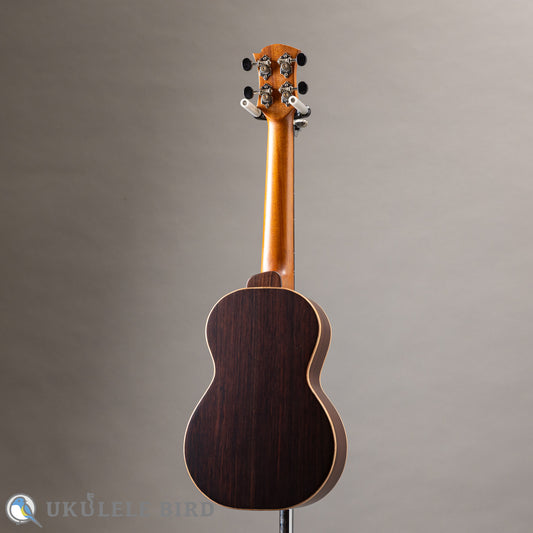 Arimitsu Guitar Craft Concert Halcyon UB5