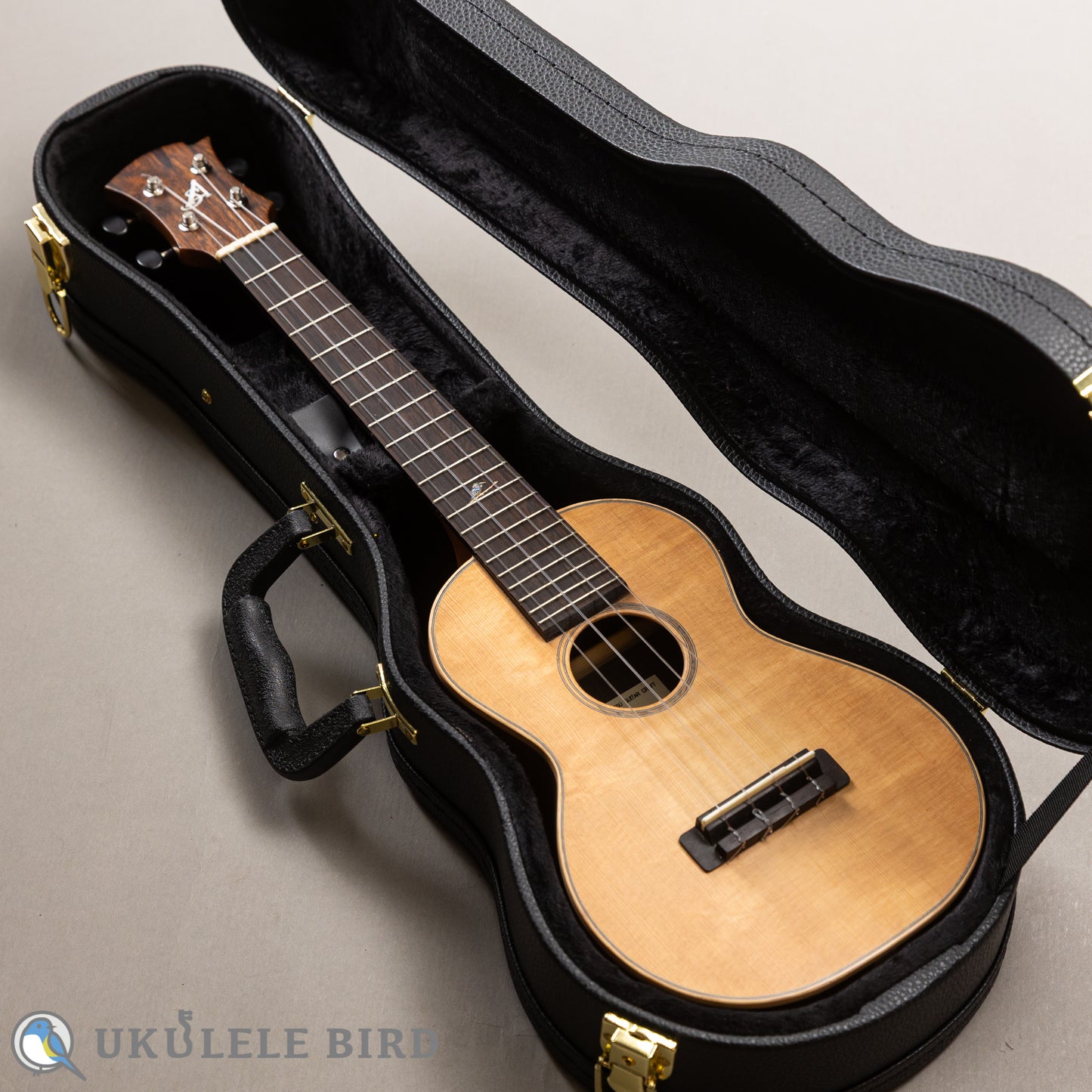 Arimitsu Guitar Craft Concert Halcyon UB5