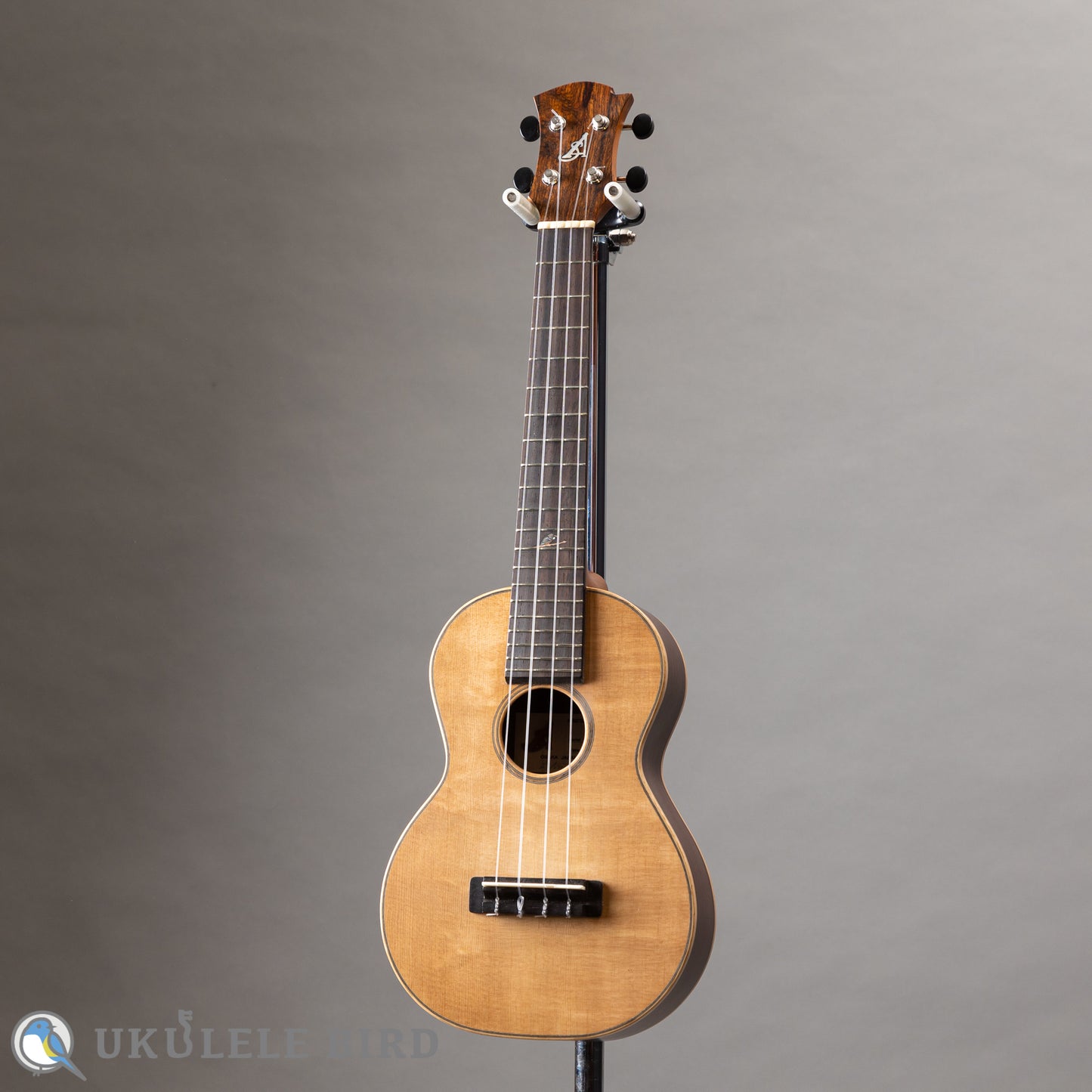Arimitsu Guitar Craft Concert Halcyon UB5