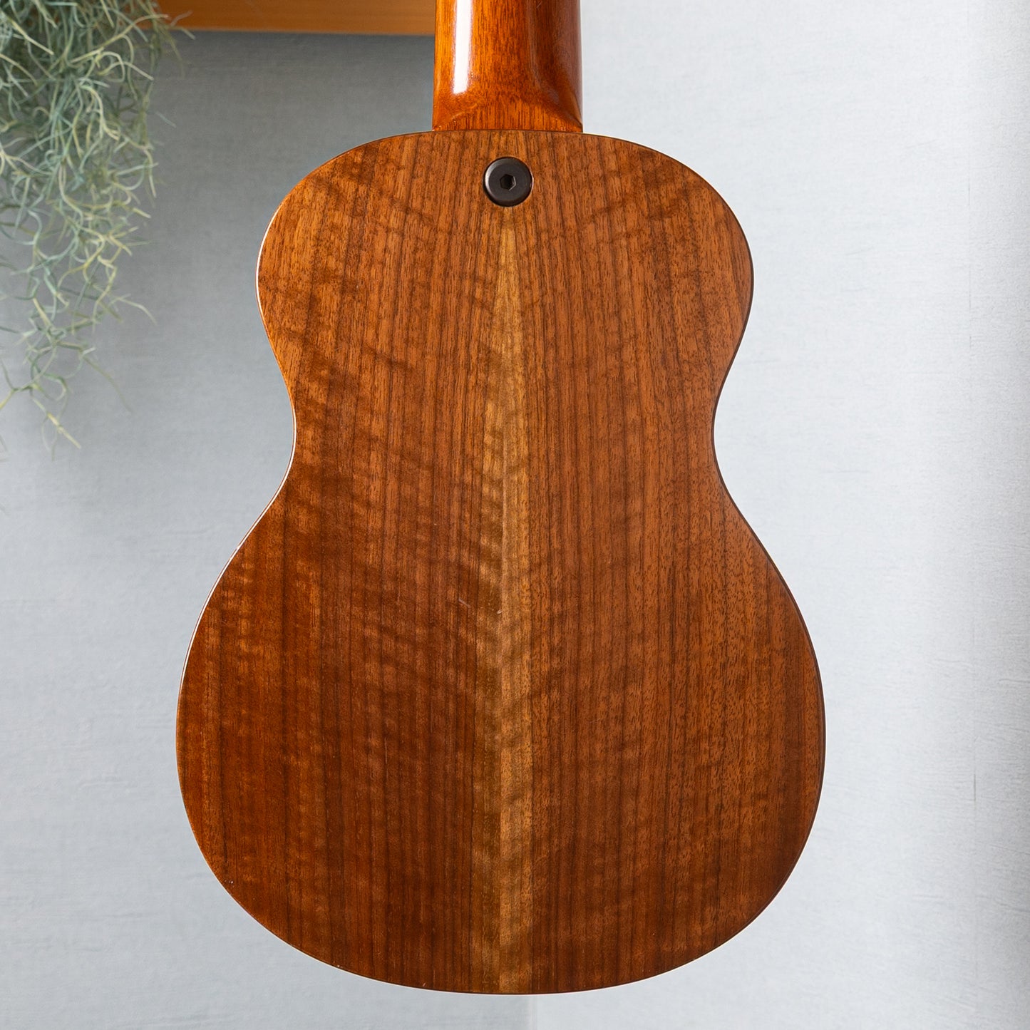 Craft Musica Wild Horse Tenor 6ST 2016