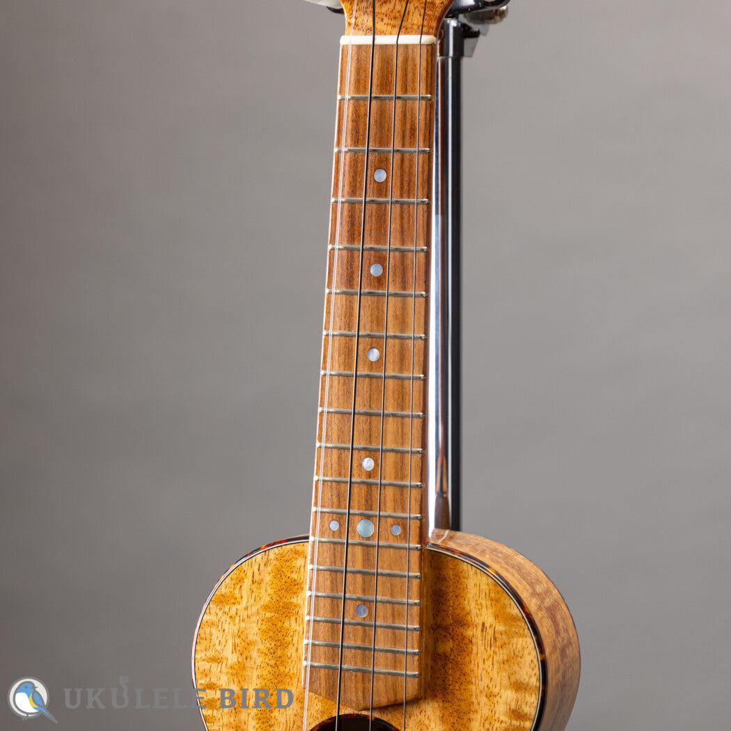 Da Silva Concert Hawaiian Mango 2018 used