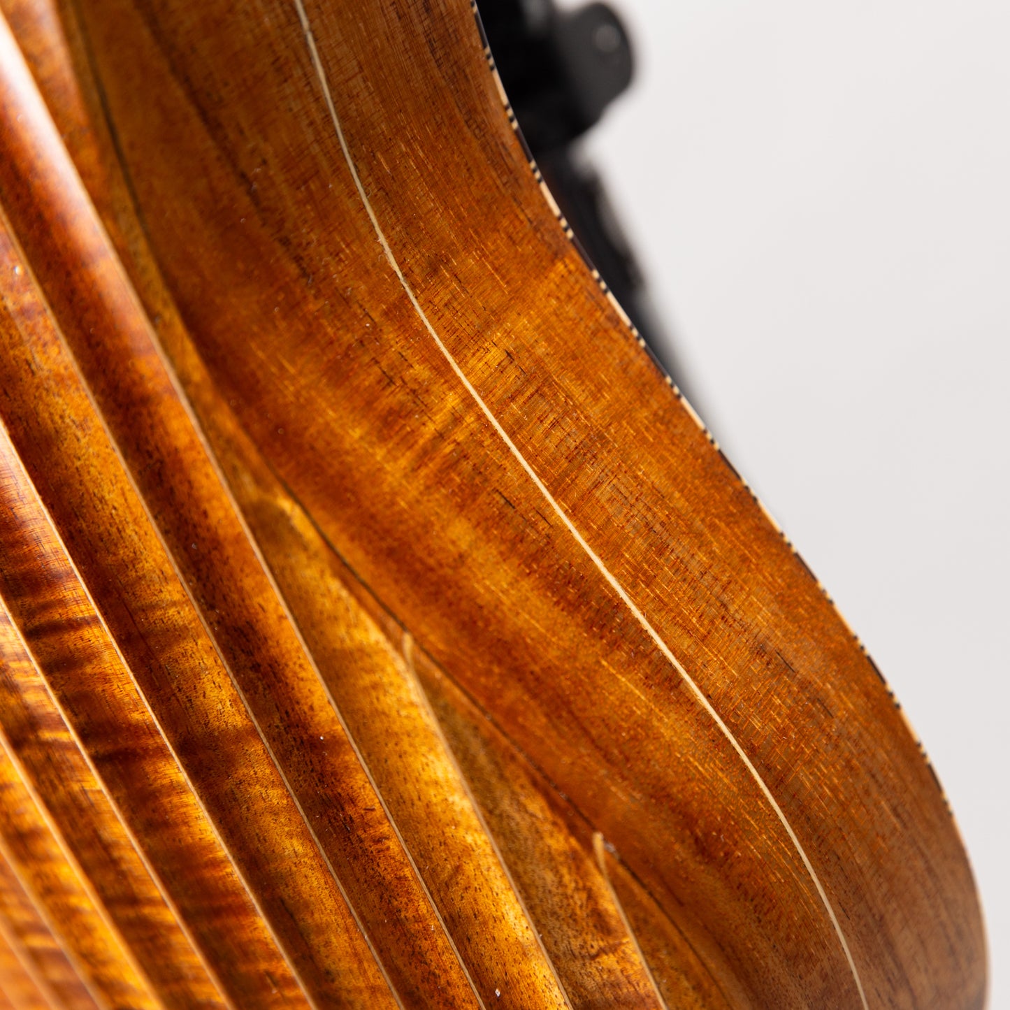 Daisaku Ukulele Renaissance Concert Koa