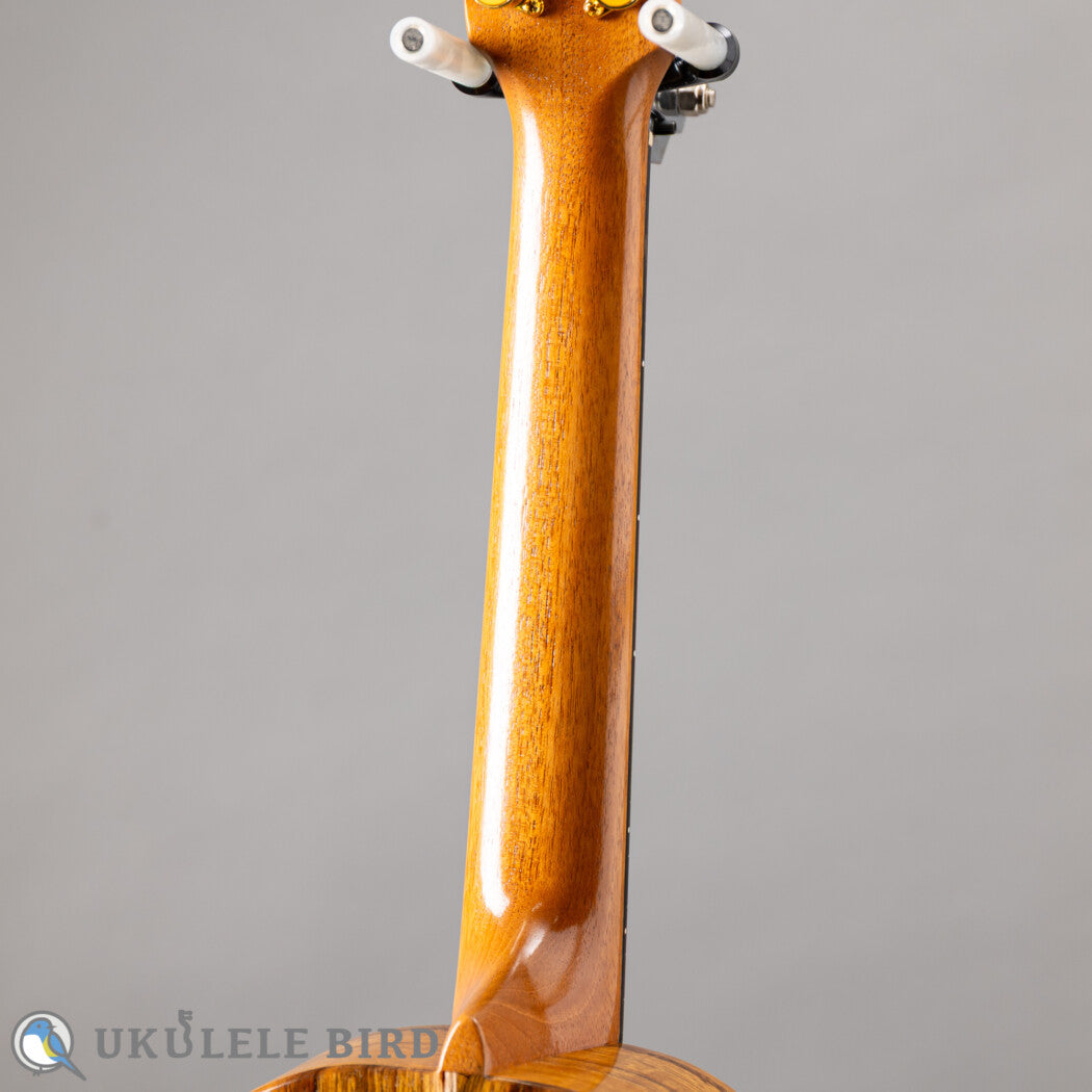 G String T4 Sun Tenor