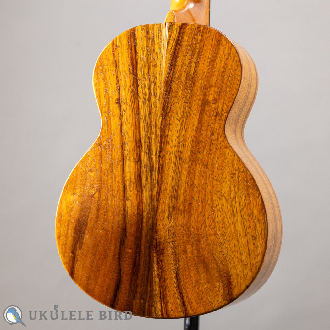 G String T4 Sun Tenor