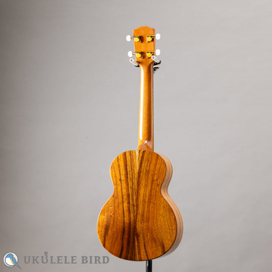 G String T4 Sun Tenor