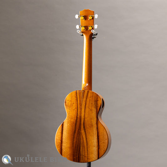 G String T4 Plain SH Tenor 2023