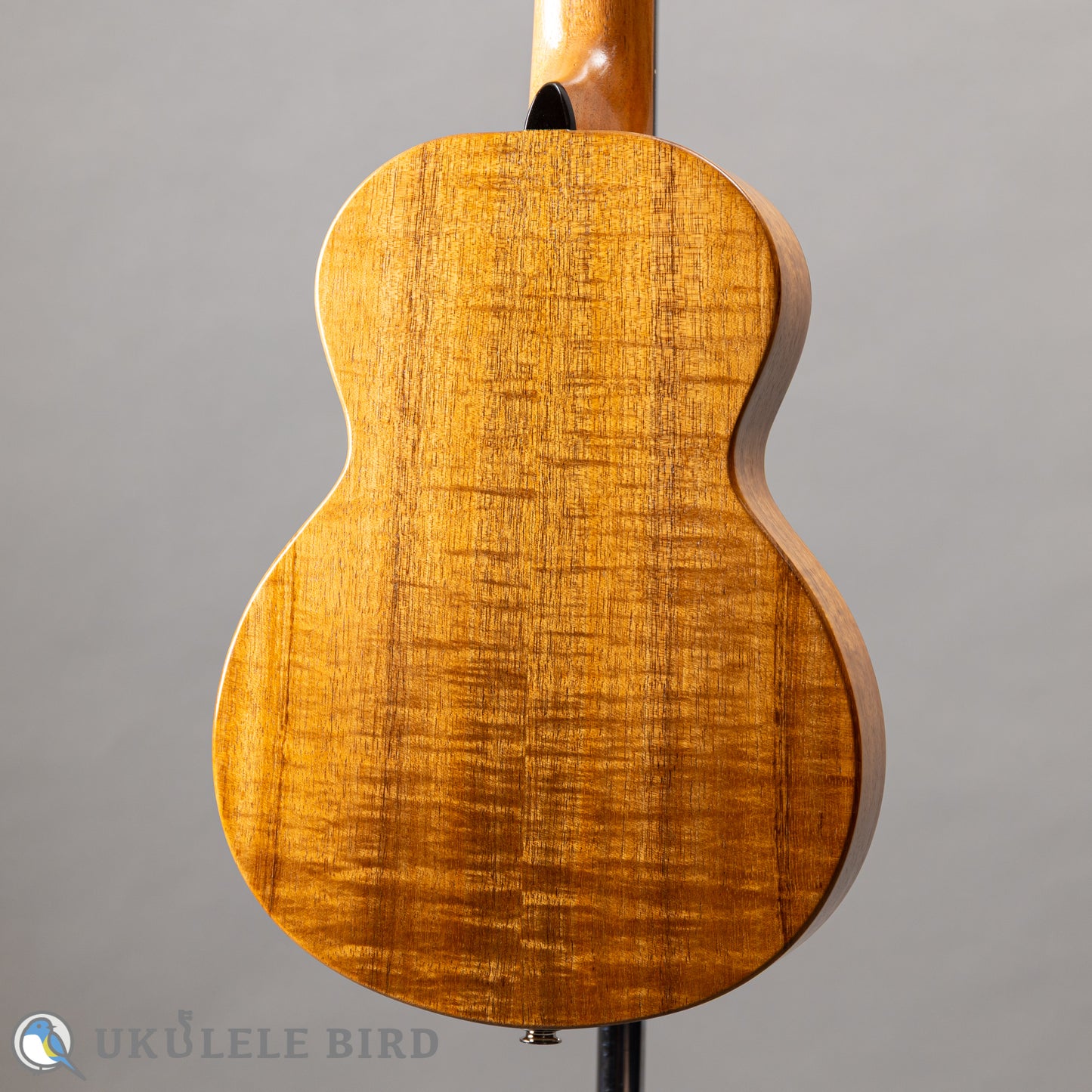 G String T4 Sun Tenor Thin Body w/PU