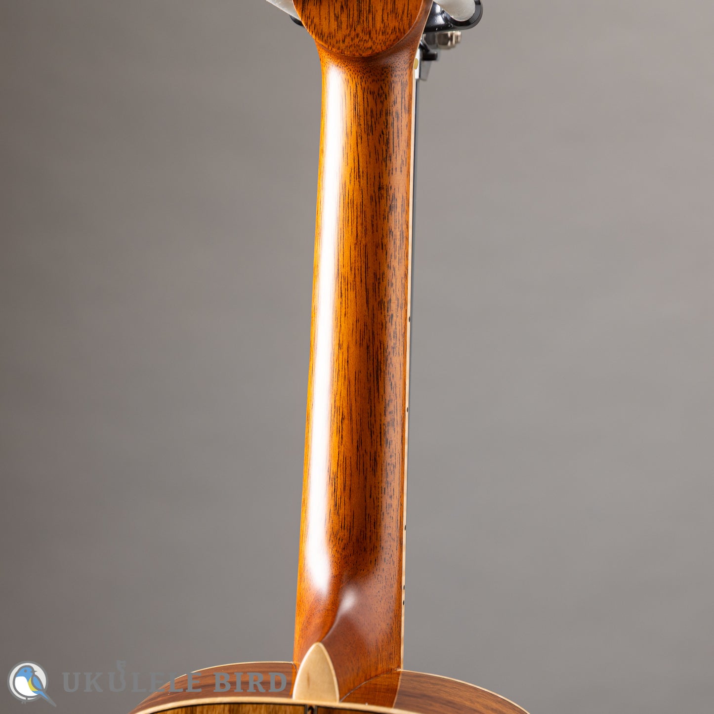 Hozen Green Label Tenor Pacific Koa Traditional