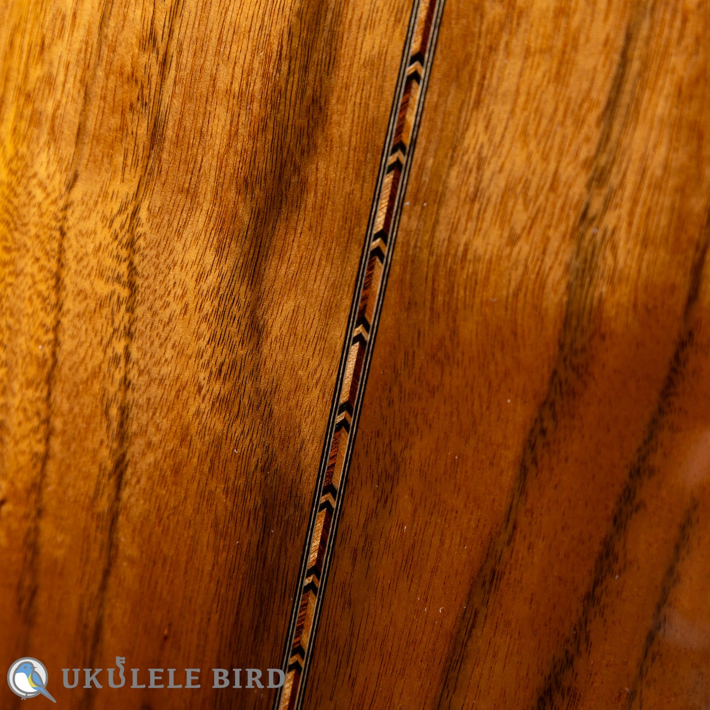 Hozen Green Label Tenor Pacific Koa Traditional