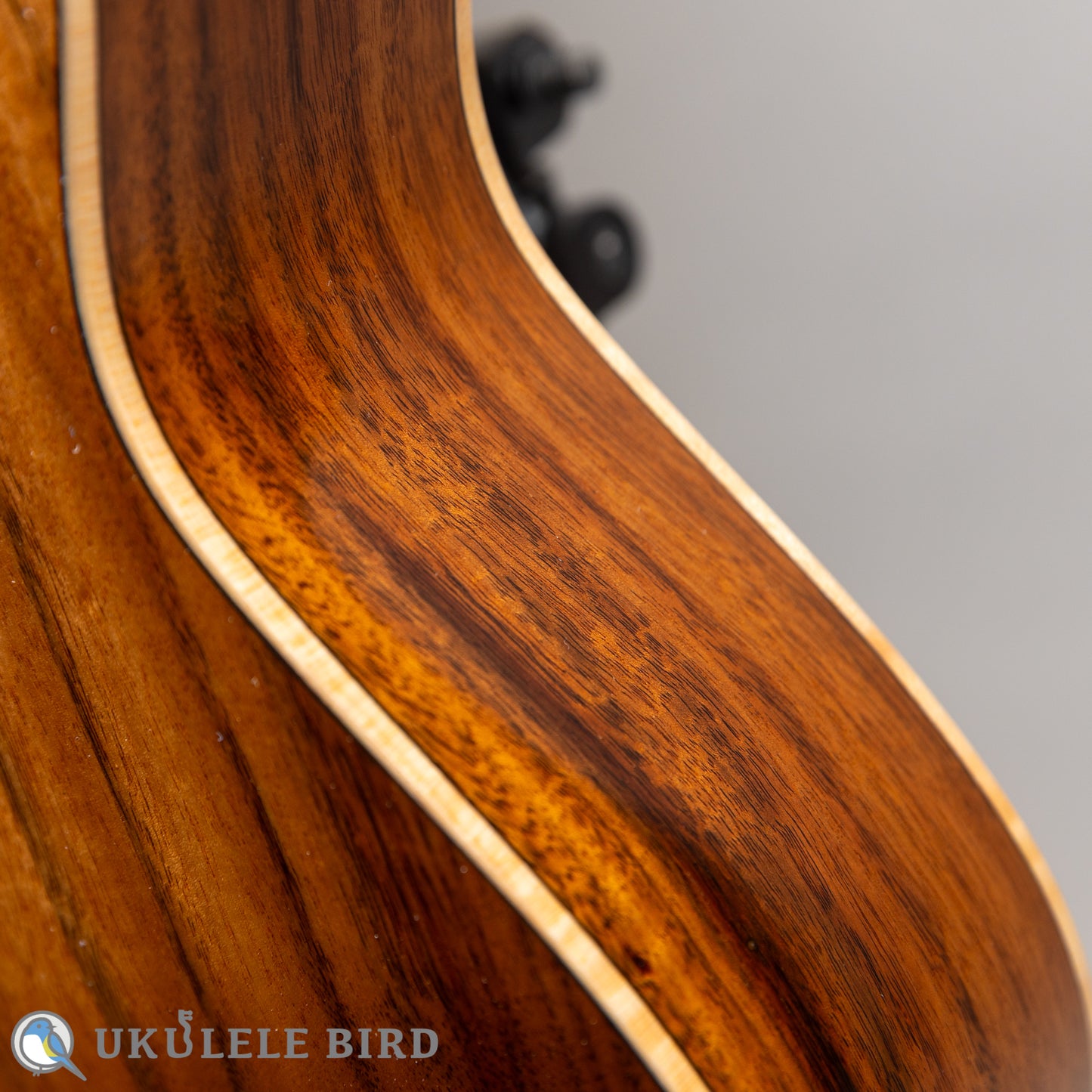 Hozen Green Label Tenor Pacific Koa Traditional