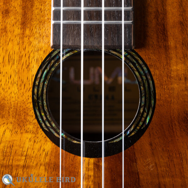 KUMU UKULELE Concert CM54A