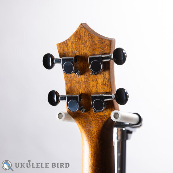KUMU UKULELE Concert CM54A