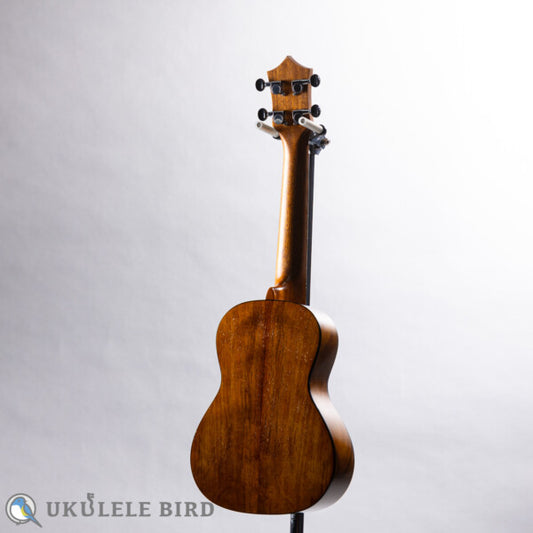 KUMU UKULELE Concert CM54A