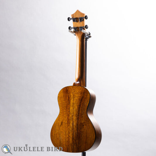 KUMU UKULELE Concert CM54A Premium