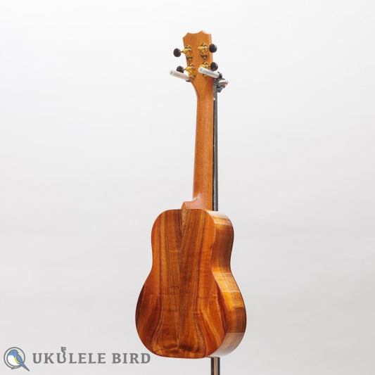 Kanile'a HNS Concert DG