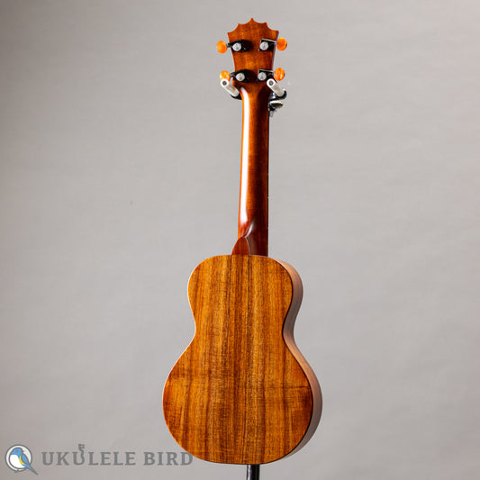 Koaloha KCM-10 Concert