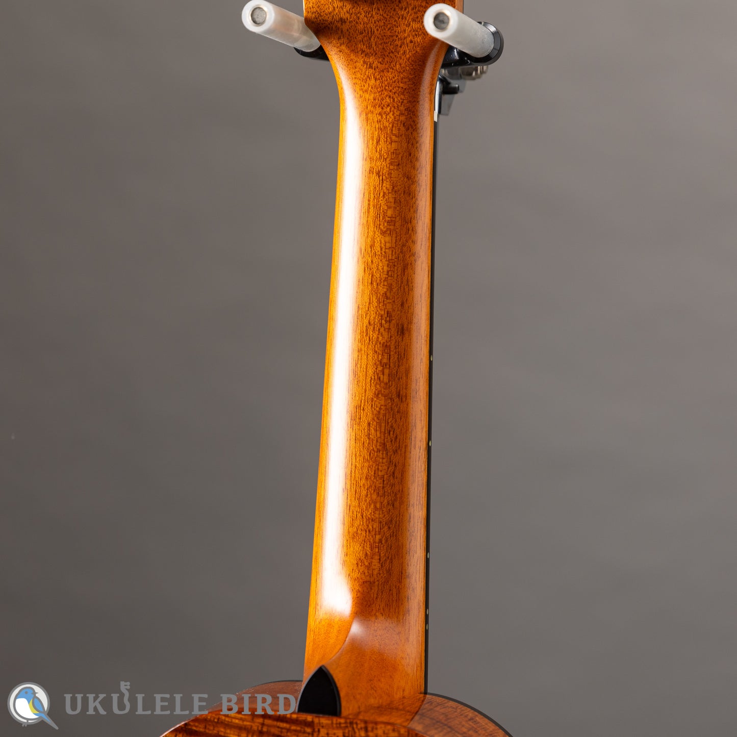 Ko’olau C-100 Concert Plumeria UB 5th