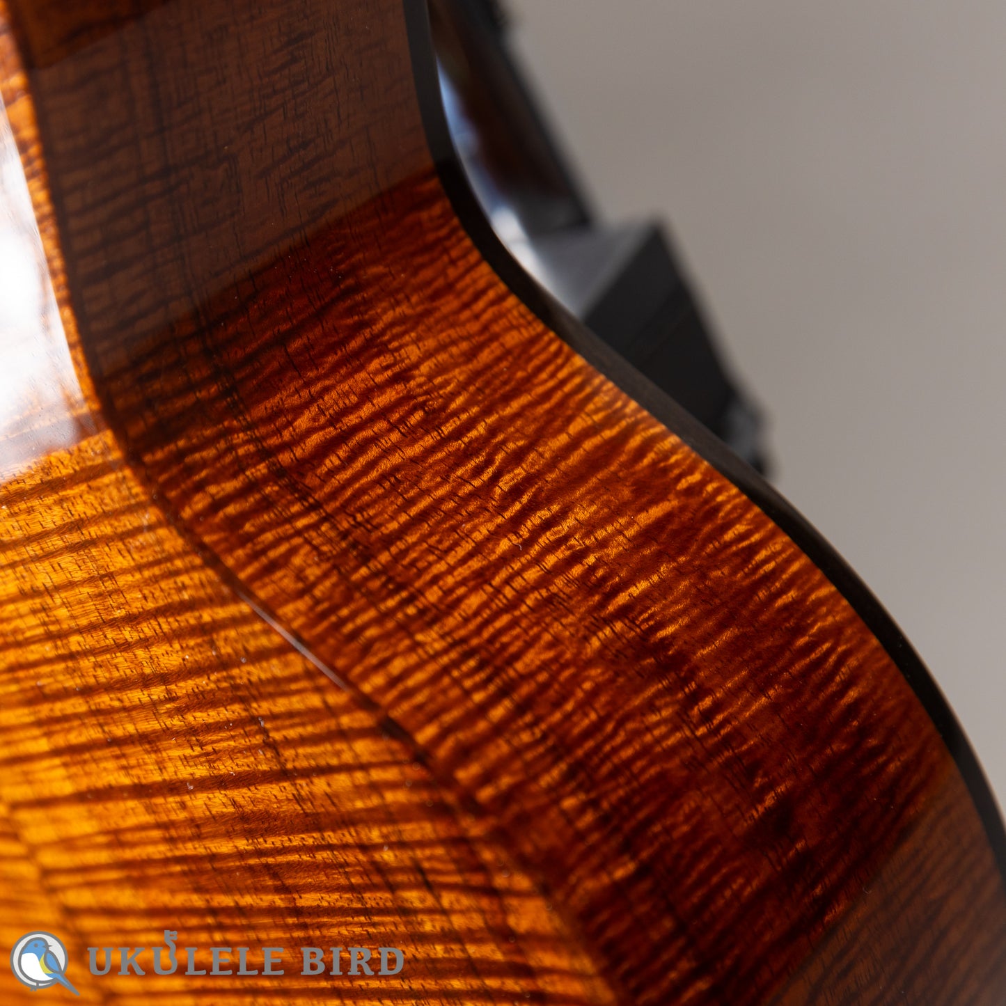 Ko’olau C-100 Concert Plumeria UB 5th