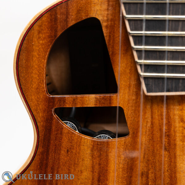 Le Light Koa w/PU Concert