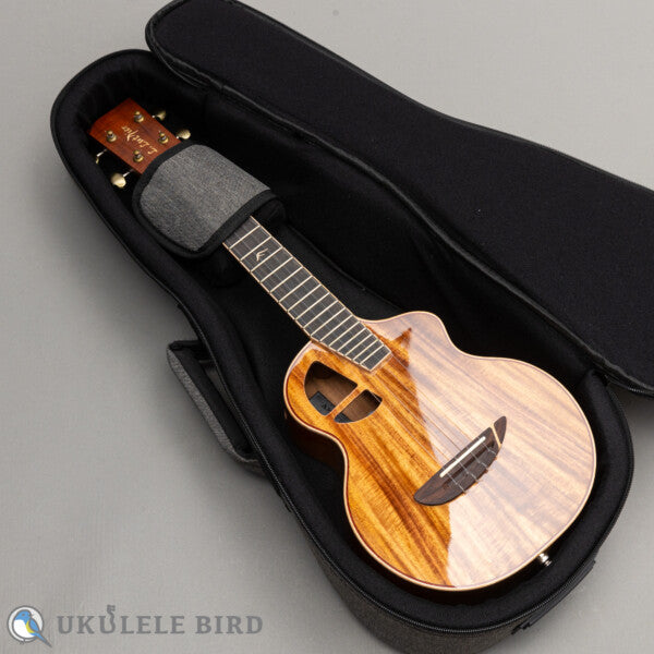 Le Light Koa w/PU Concert