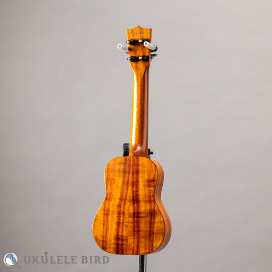 Lasting LS-S/K-Diamond 2016