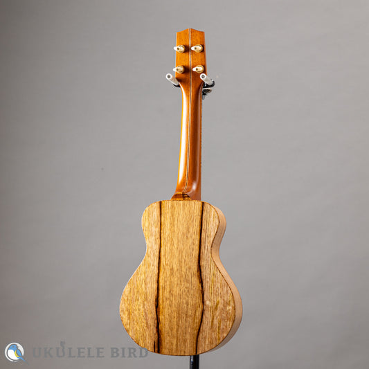 四弦舎 MC381 ハワイアンマンゴー コンサート