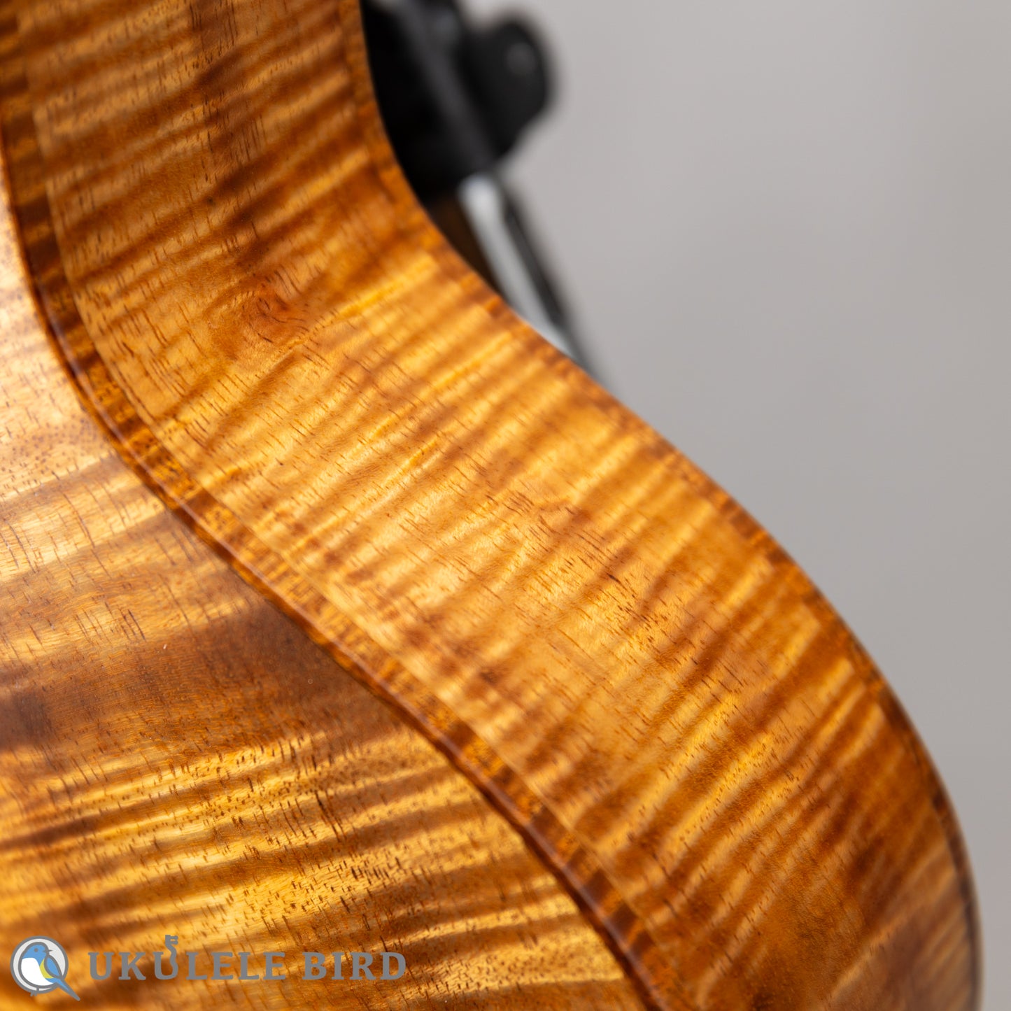 四弦舎 Model-MS350 ソプラノ カーリーハワイアンコア