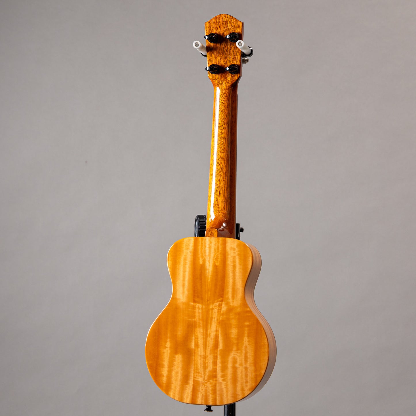 Matsui Kilitto Soprano LN Tochi 2024