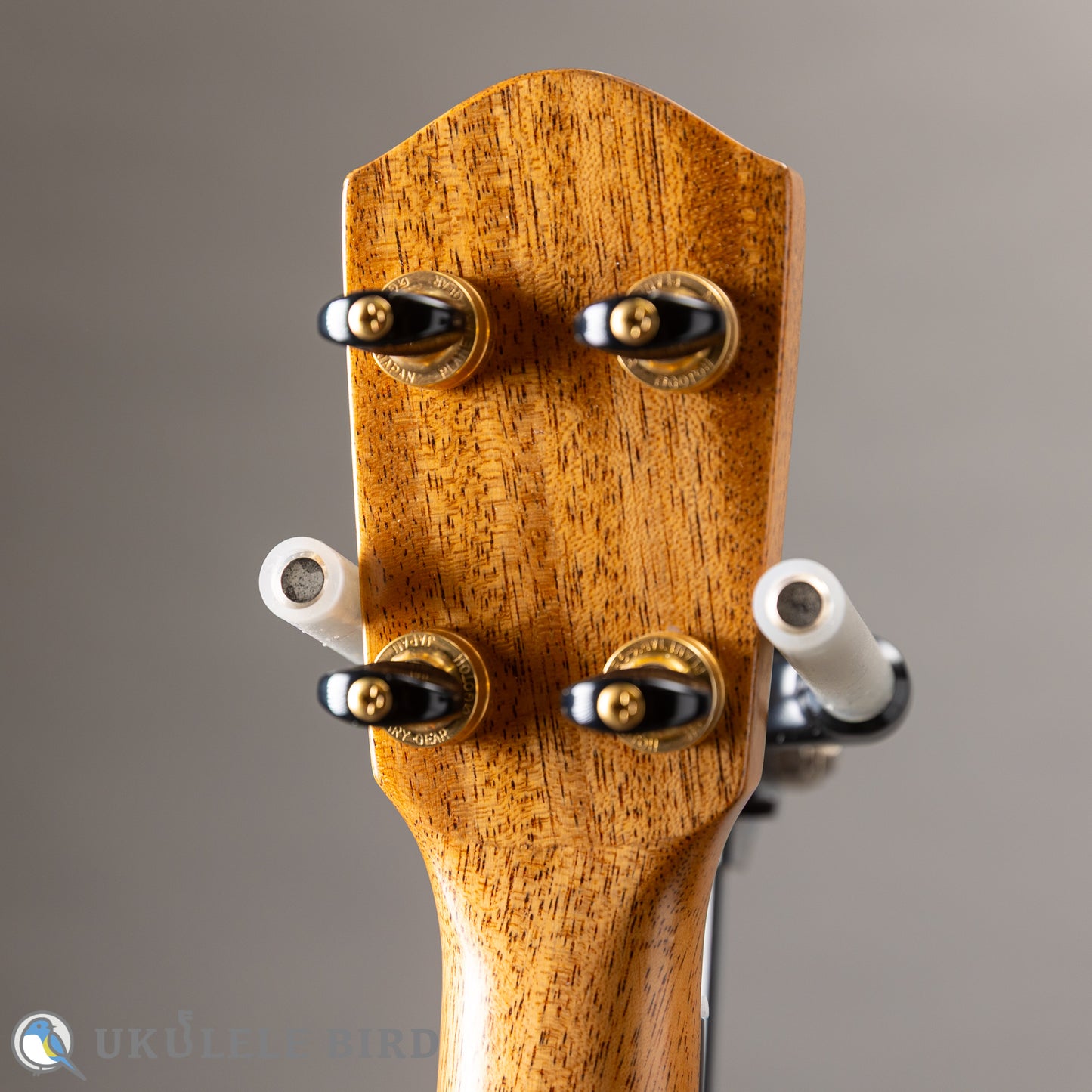 Matsui Ukulele Five-D Laughing Concert