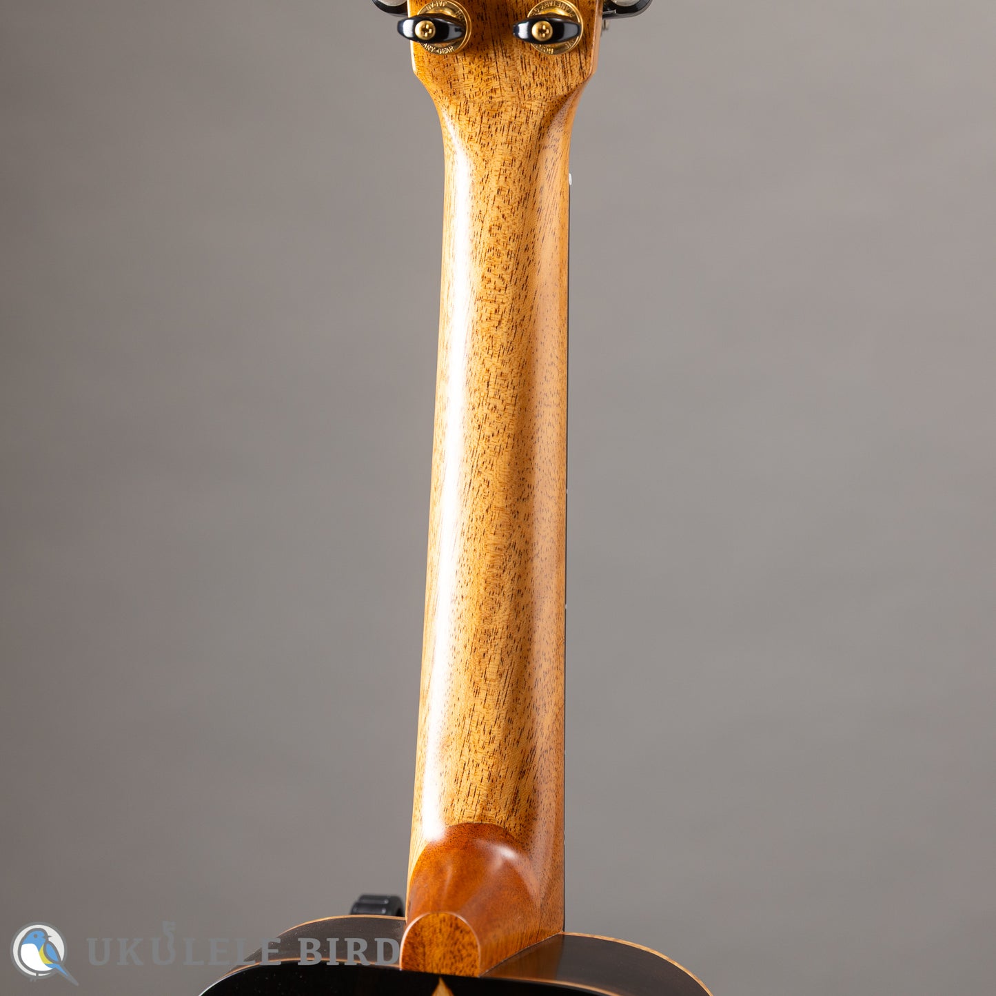 Matsui Ukulele Five-D Laughing Concert