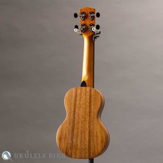 PONO AS Soprano Acacia