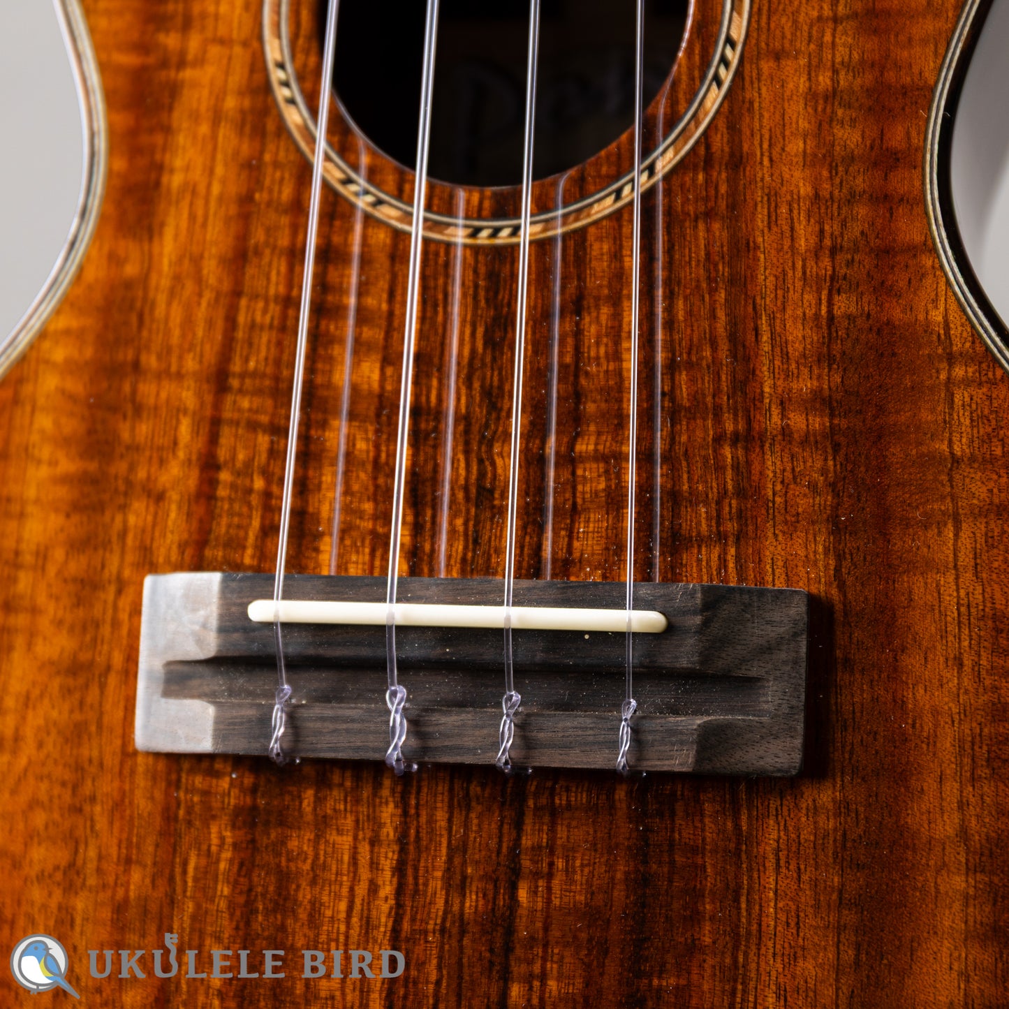 Pono MKC-MS Concert
