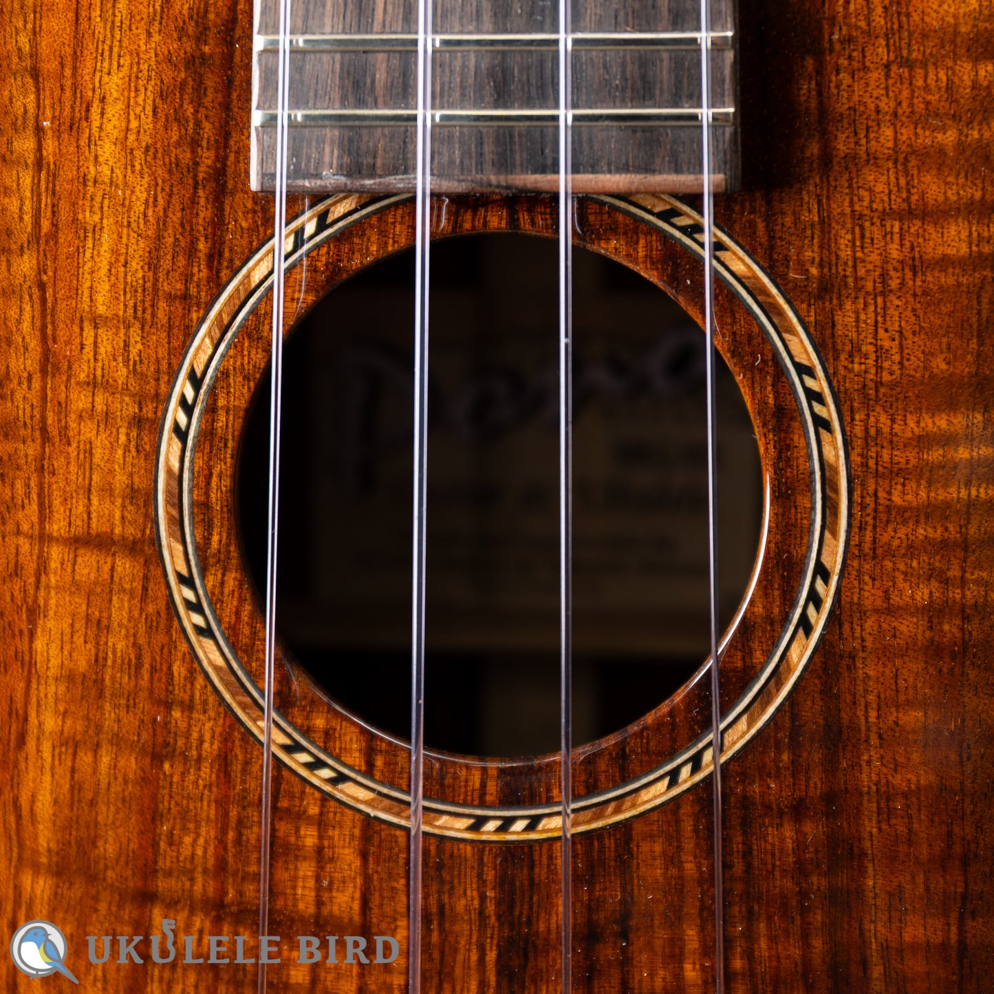 Pono MKC-MS Concert