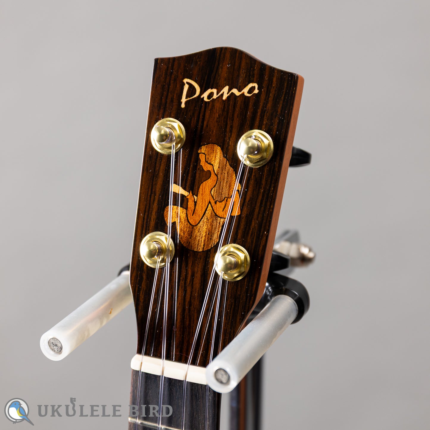 Pono MKC-MS Concert