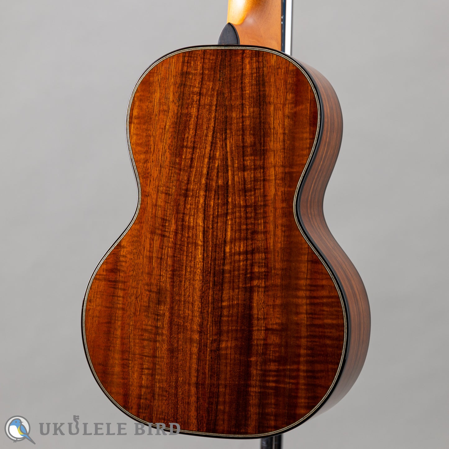Pono MKC-MS Concert