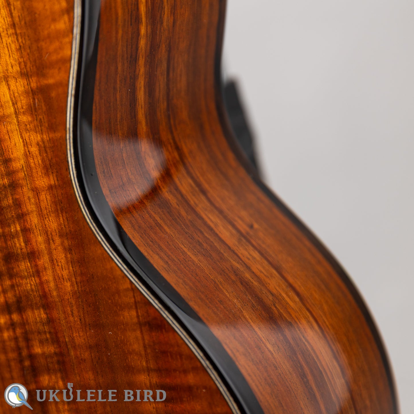 Pono MKC-MS Concert