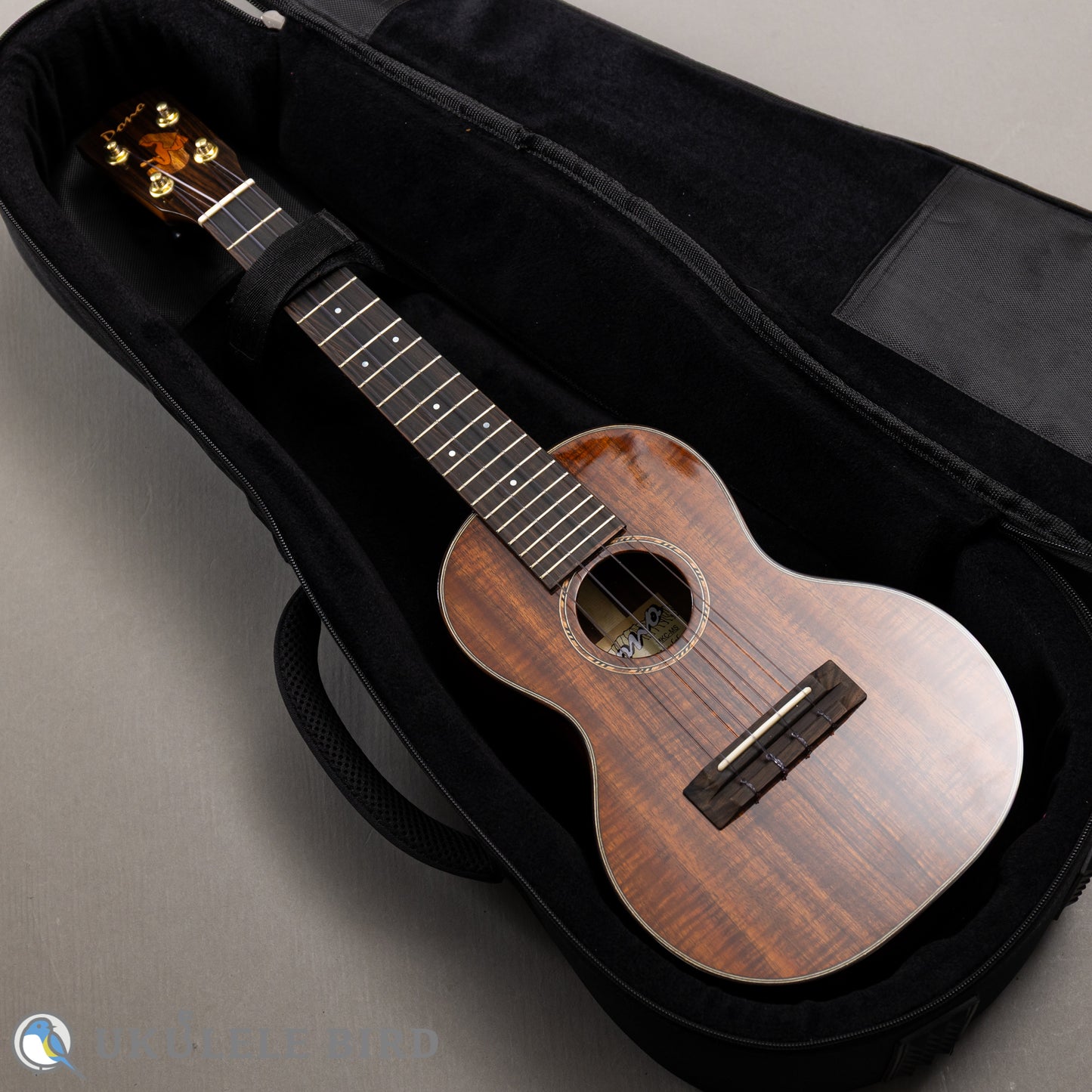 Pono MKC-MS Concert